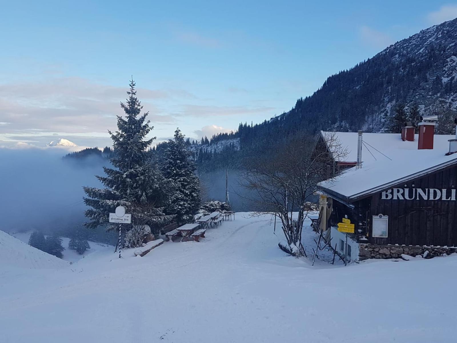 Hotel Bruendling-Alm Berggasthof Auf 1167M Auf Dem Hochfelln Bergen  Exterior foto