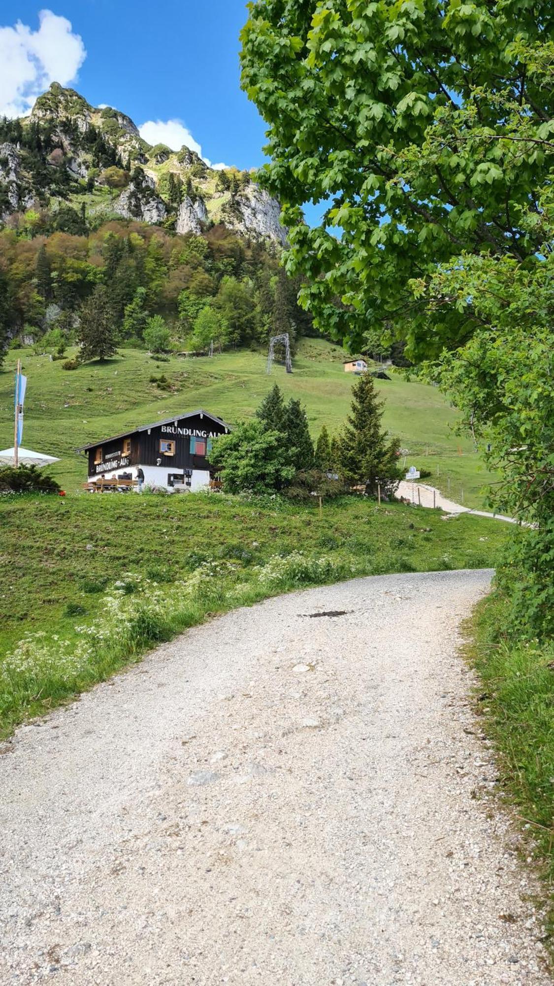 Hotel Bruendling-Alm Berggasthof Auf 1167M Auf Dem Hochfelln Bergen  Exterior foto